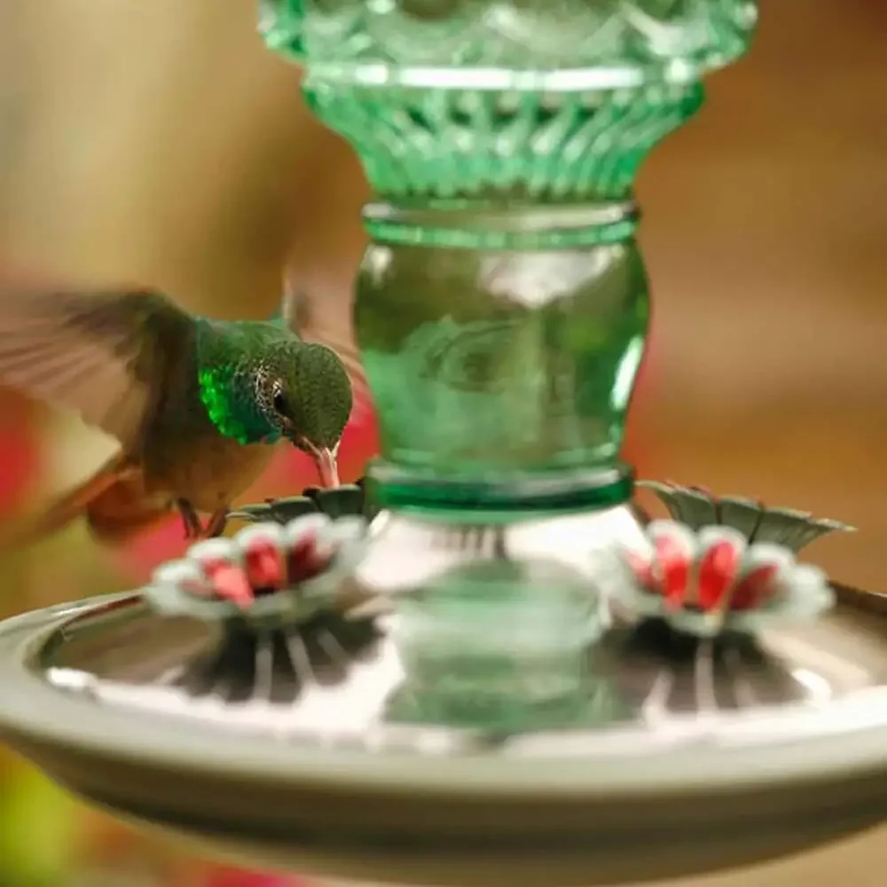 Antique Glass Bottle Hummingbird Feeder 10 Oz Capacity Green Outdoor Hanging